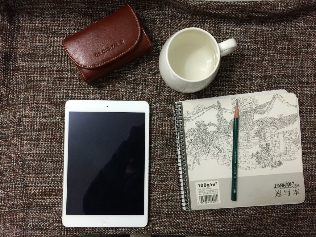 Ipad Mini と Python Programming Cafe ハリネズミ